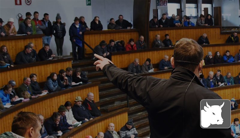 Zuchtviehversteigerung Fleckvieh und Pustertaler Sprinzen – St. Lorenzen