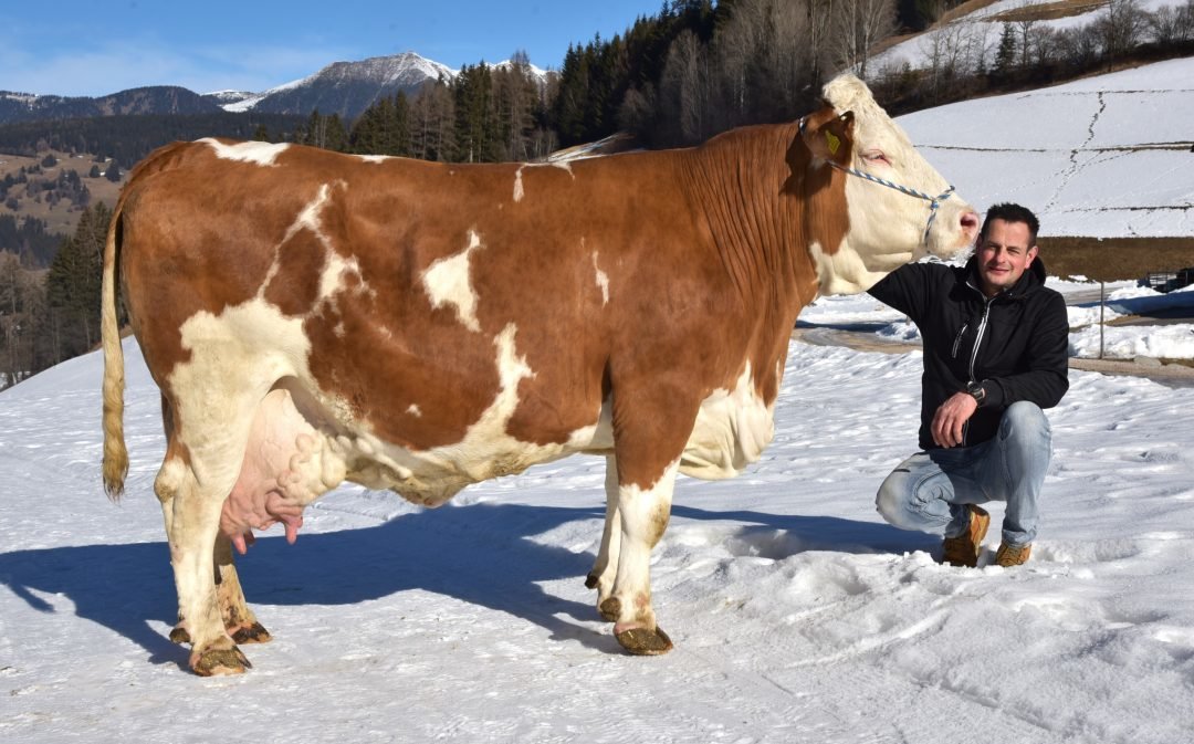 Über 100.000 Liter Lebensleistung