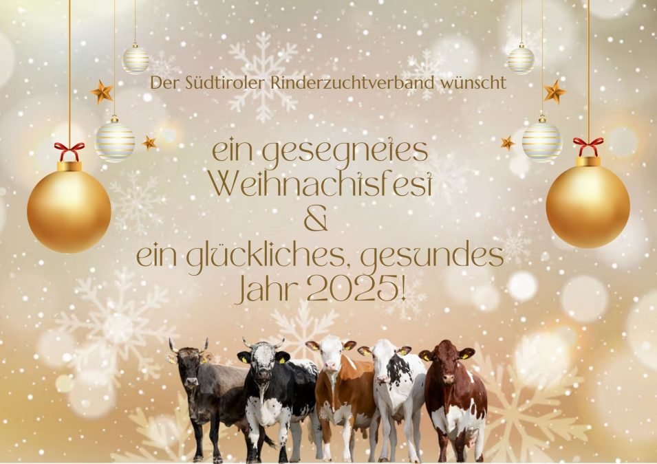 Weihnachtsgrüße