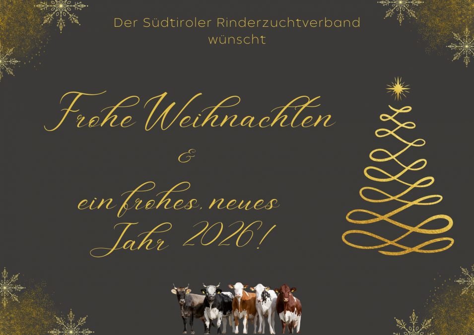 Weihnachtsgrüße