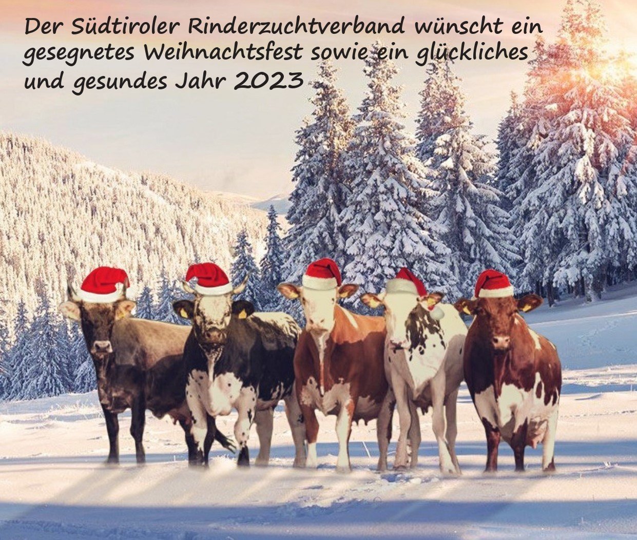 Weihnachtsgrüße