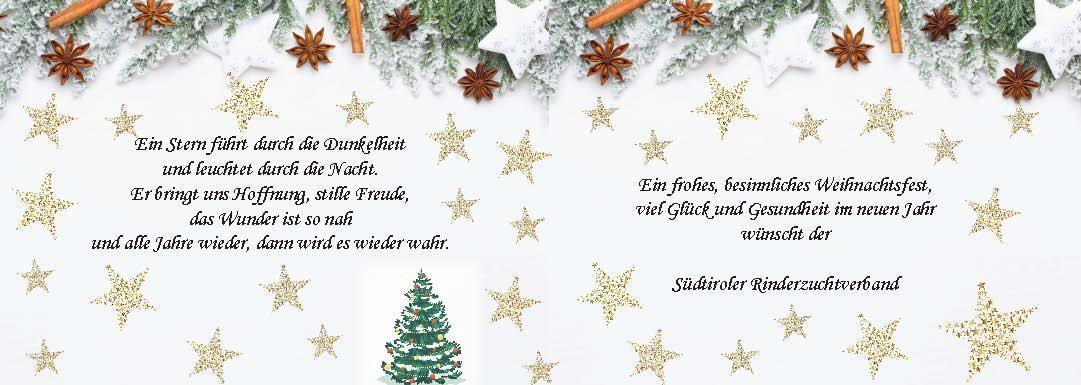Weihnachtsgrüße