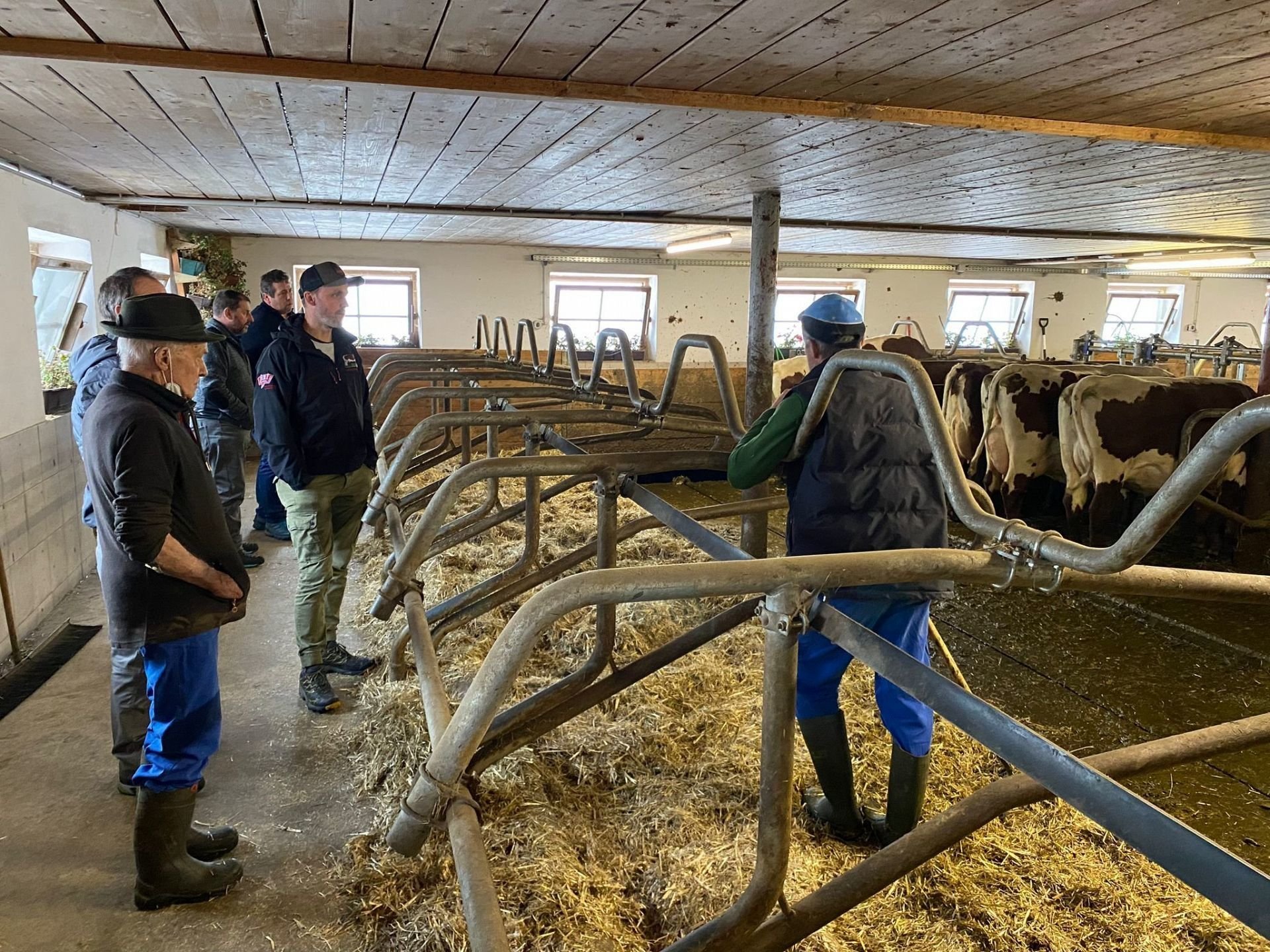 Pinzgauer Züchterausschuss zu Besuch in Österreich