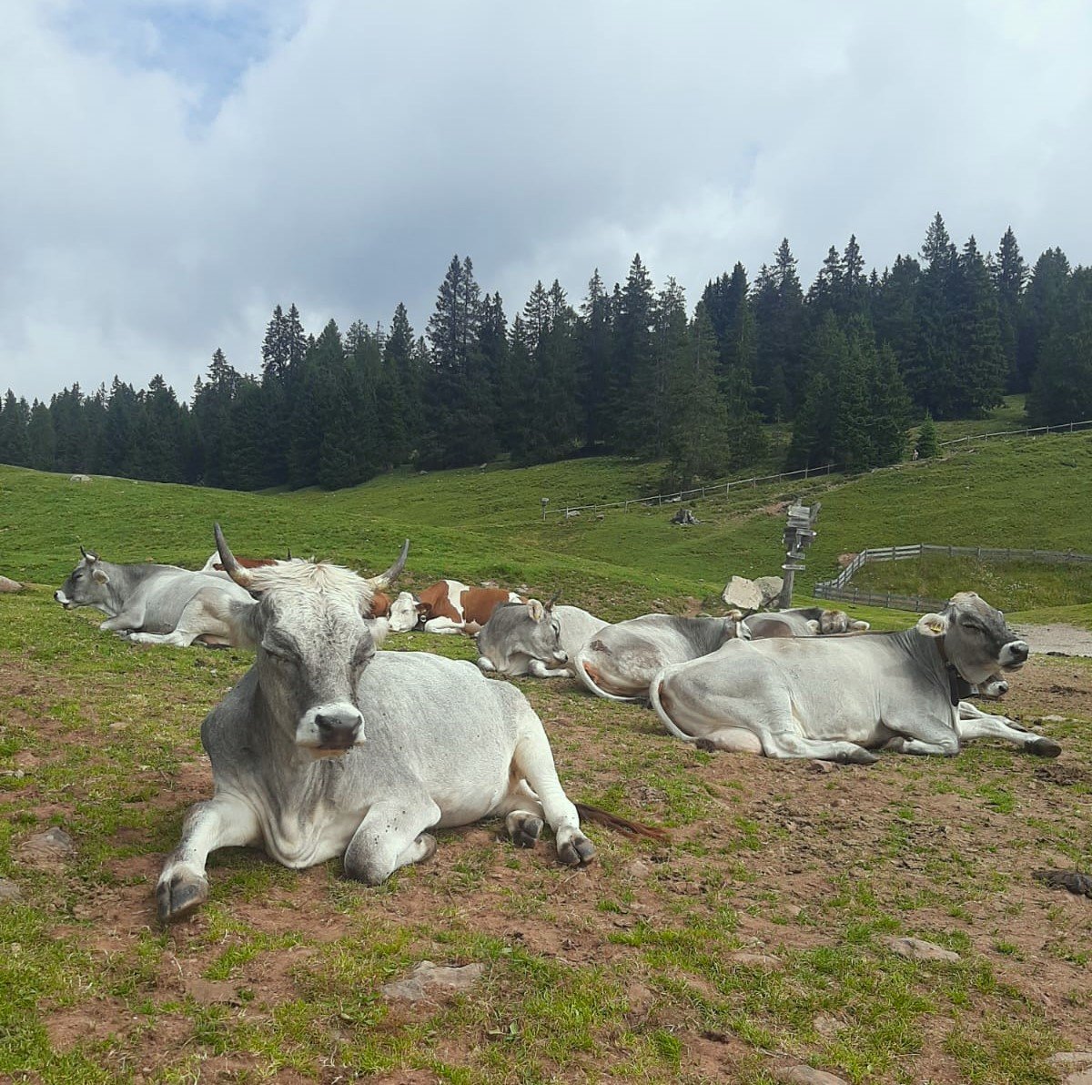 Betriebsurlaub