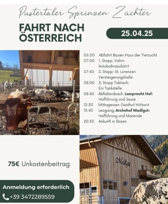 Ausflug der Pustertaler Sprinzen Züchter am 25. April 2025